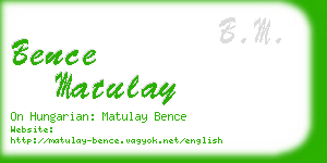 bence matulay business card